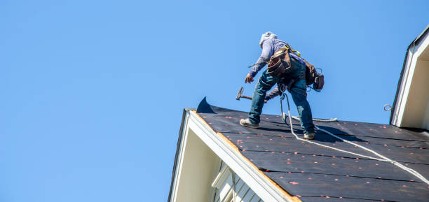 Best Roof Repair Services  in Humboldt Hill, CA